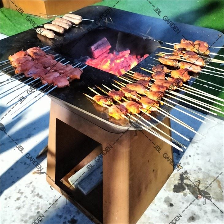 Classic Series Cooking BBQ