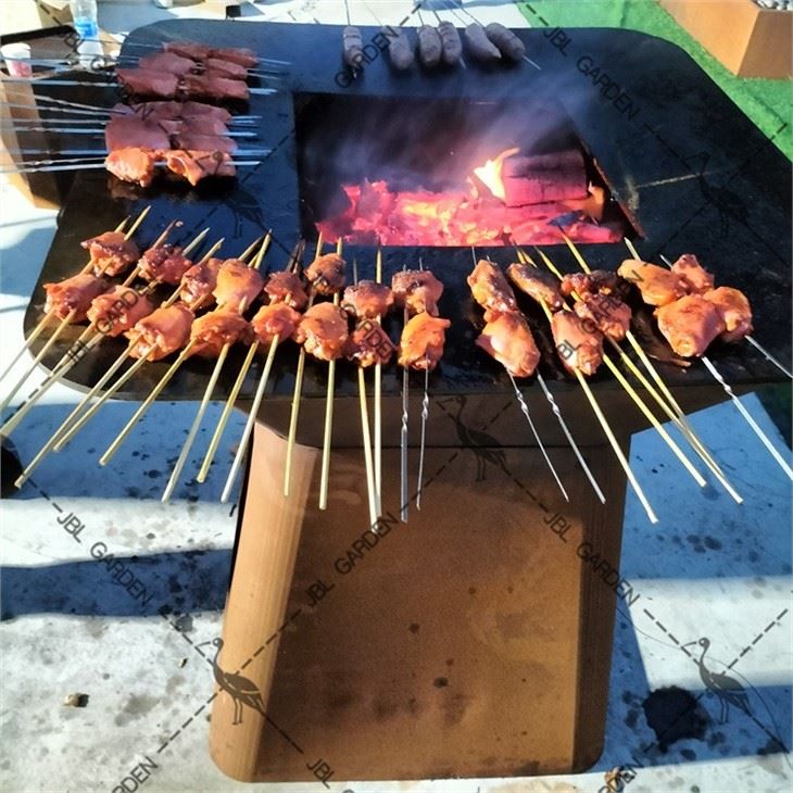 Classic Series Cooking BBQ