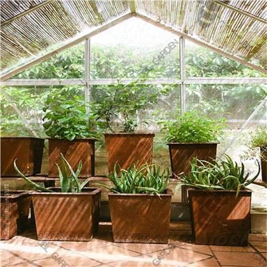 Caixas de plantador de metal levantadas
