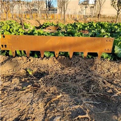 Ornamento de jardim de aço simples para bordar gramado