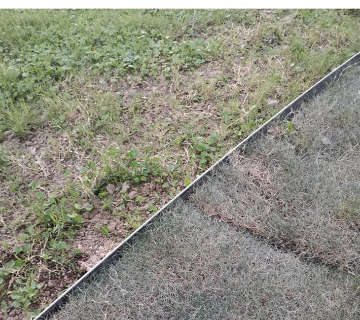 Borda de metal para jardim preto