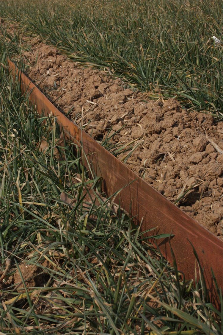 Borda de paisagismo-em aço Corten de longa duração para separação de gramados e caminhos