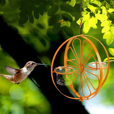 Bandeja suspensa para comedouro de pássaros